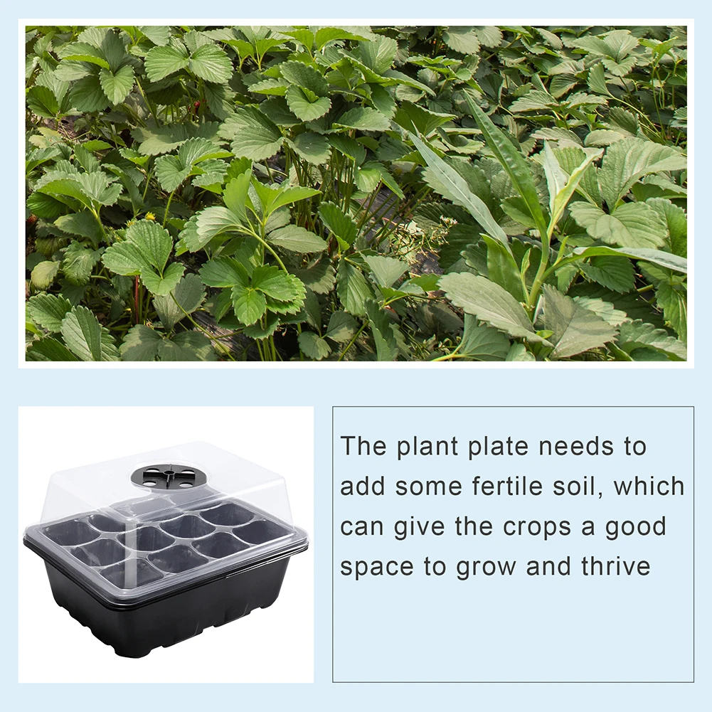 Seed Tray 12 Holes Cell Propag - đánh giá và giá Propagation Tray Dome