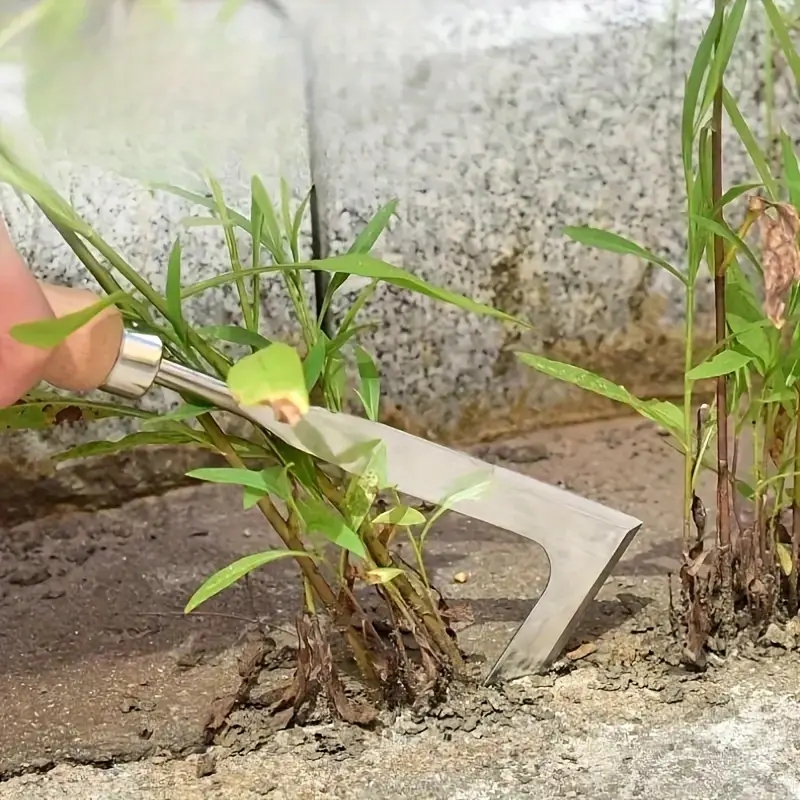 Heavy-Duty Carbon Steel Hand S - đánh giá và giá Gardening Tools Shovel