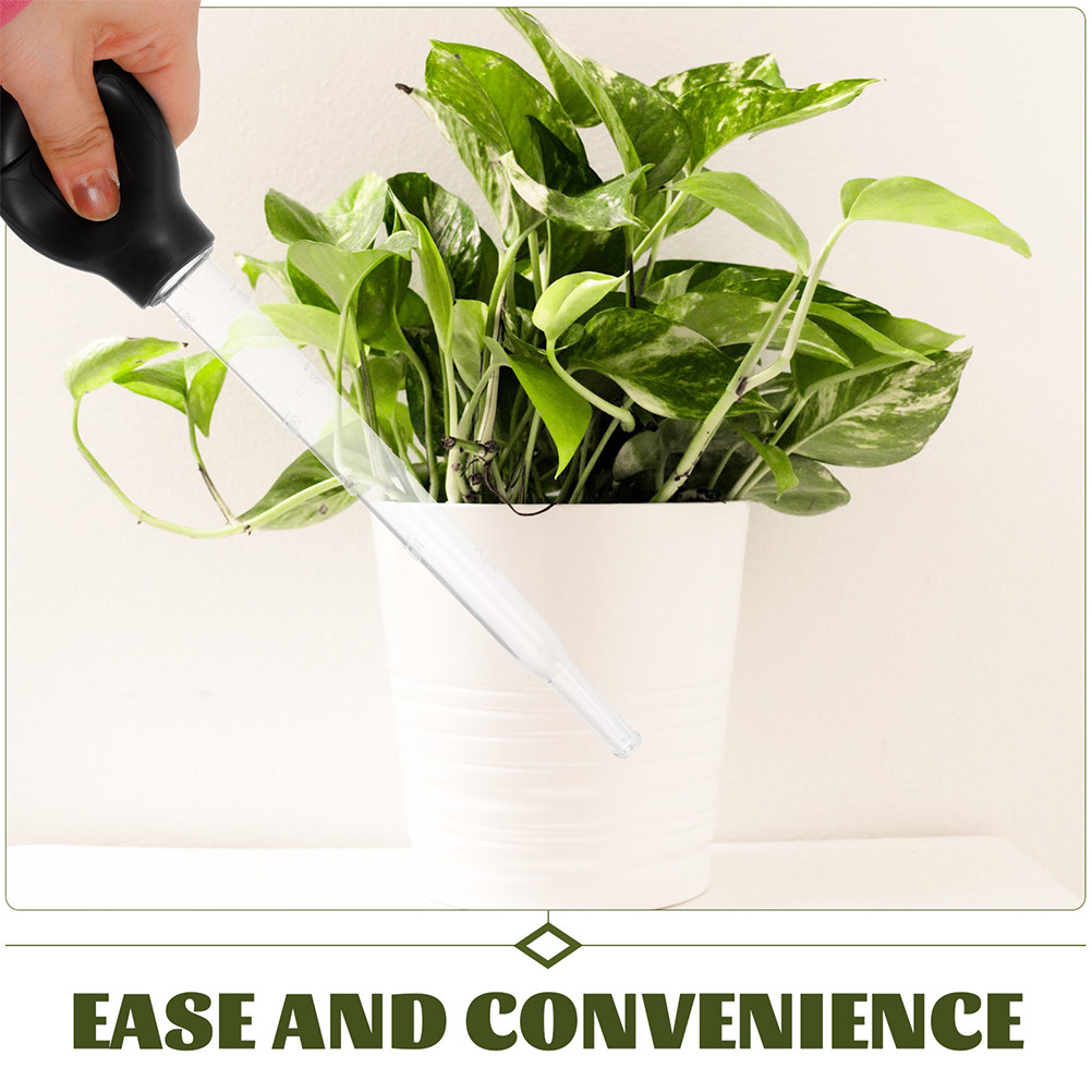 3Pcs Plant Saucer Water Absorb - đánh giá và giá Gardening Tools And Equipment