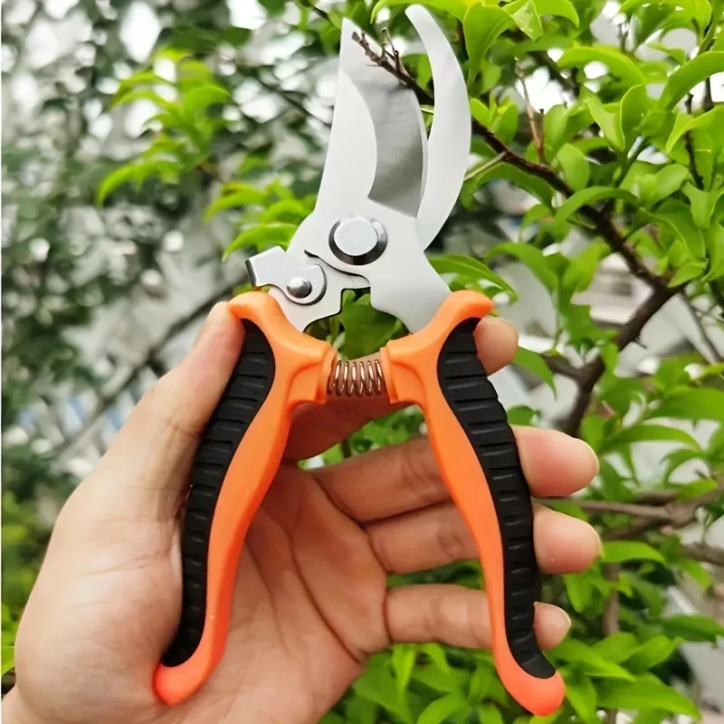 Stainless Steel Professional G - đánh giá và giá Gardening Tools On Sale
