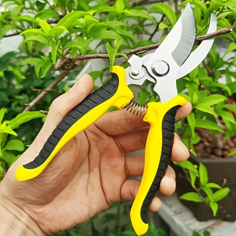 Stainless Steel Professional G - đánh giá và giá Gardening Tools On Sale
