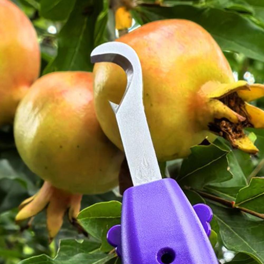 Portable Fruit Vegetable Quick - đánh giá và giá Gardening Tools Vegetables