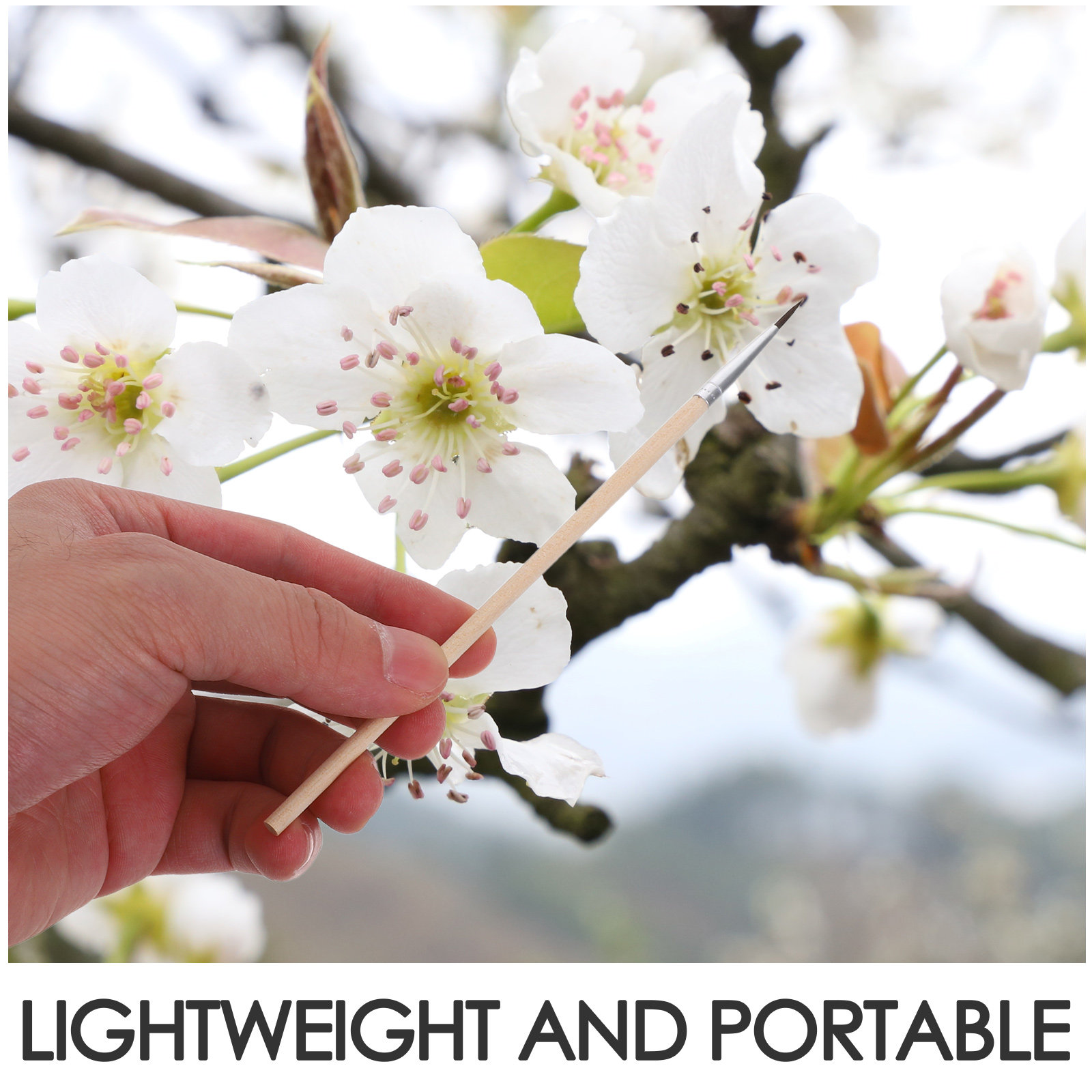 24Pcs Garden Pollination Brush - đánh giá và giá Gardening Tools Vegetables