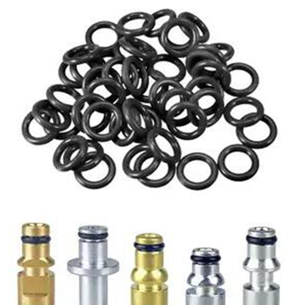 100 Pcs O-Rings High Pressure  - đánh giá và giá Gardening Tools Types