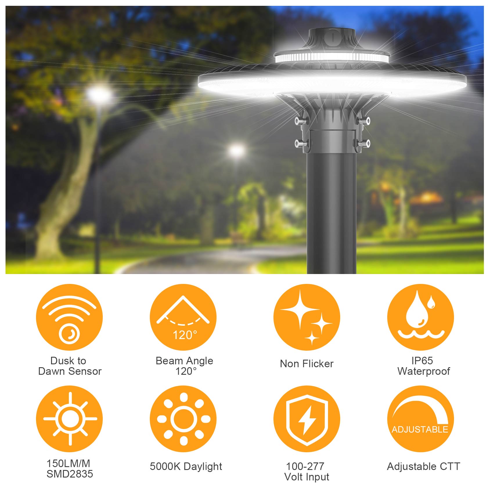 LED POST TOP Fixture ETL CE UL - đánh giá và giá Gardening Tools List