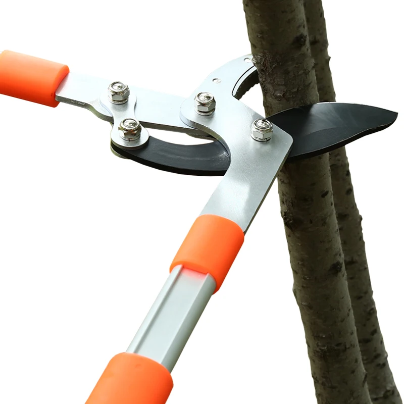 Long Length Scissor Hedge Anvi - đánh giá và giá Gardening Tools German