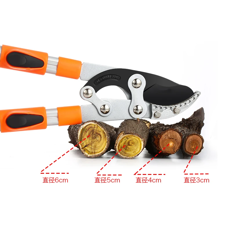 Long Length Scissor Hedge Anvi - đánh giá và giá Gardening Tools German