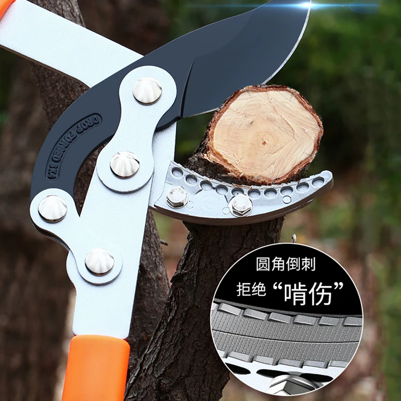 Long Length Scissor Hedge Anvi - đánh giá và giá Gardening Tools German