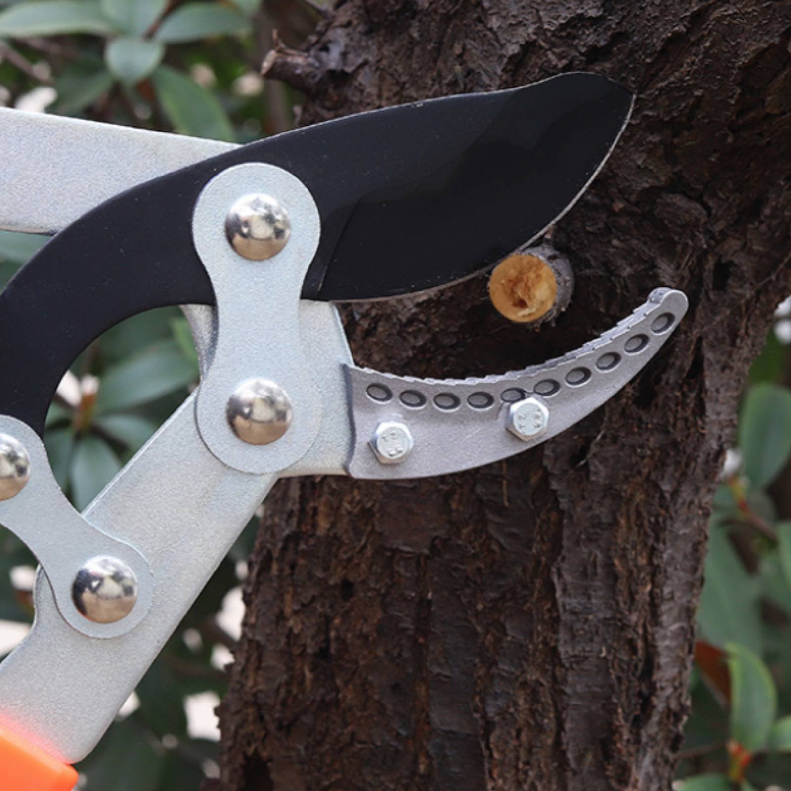 Telescopic Branch Pruners Shar - đánh giá và giá Gardening Tools In