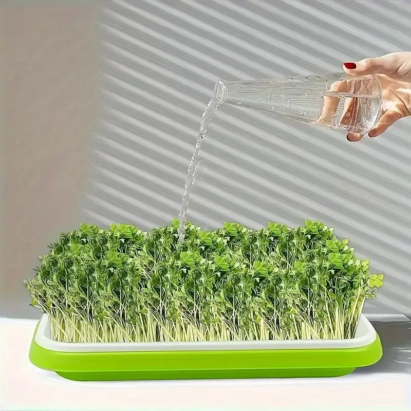Latest Models Seedling Tray Su - đánh giá và giá Gardening Tools Vegetables