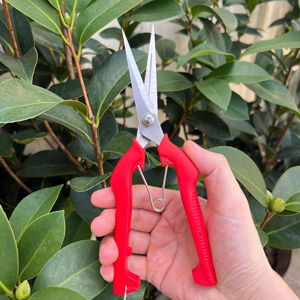 Pro Garden Pruning Shears Leng - đánh giá và giá Gardening Tools Vegetables