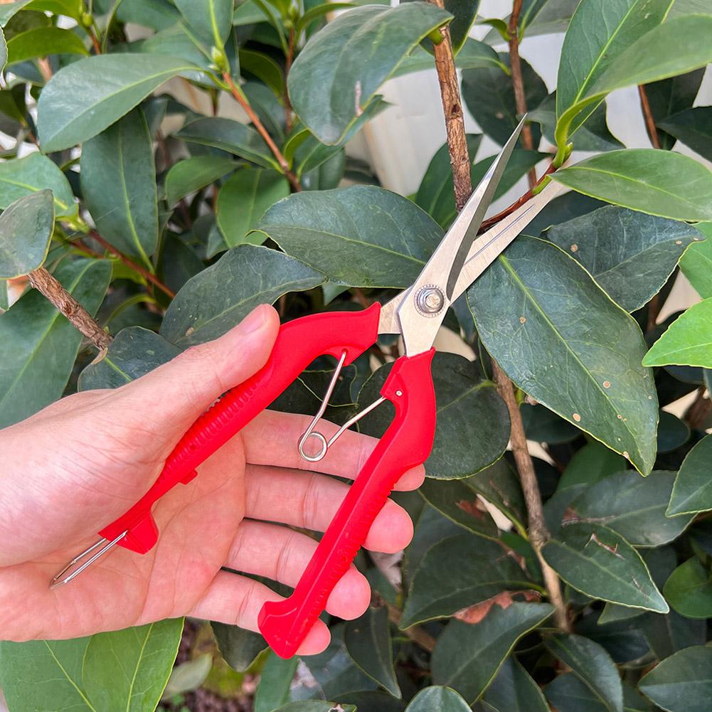 Pro Garden Pruning Shears Leng - đánh giá và giá Gardening Tools Vegetables