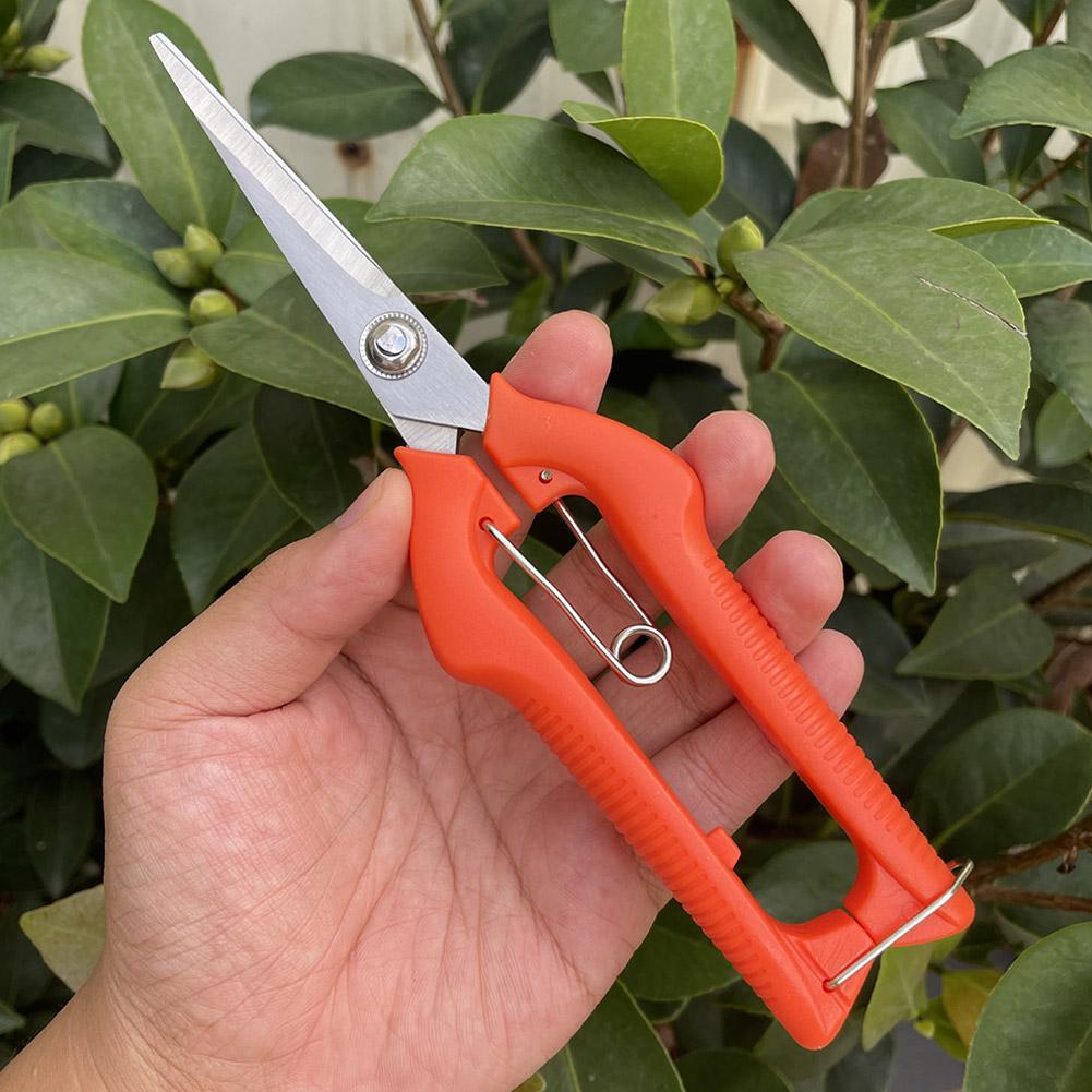 Pro Garden Pruning Shears Leng - đánh giá và giá Gardening Tools Vegetables