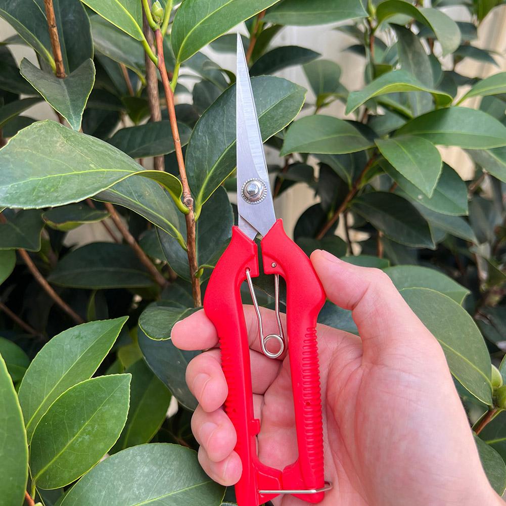 Pro Garden Pruning Shears Leng - đánh giá và giá Gardening Tools Vegetables