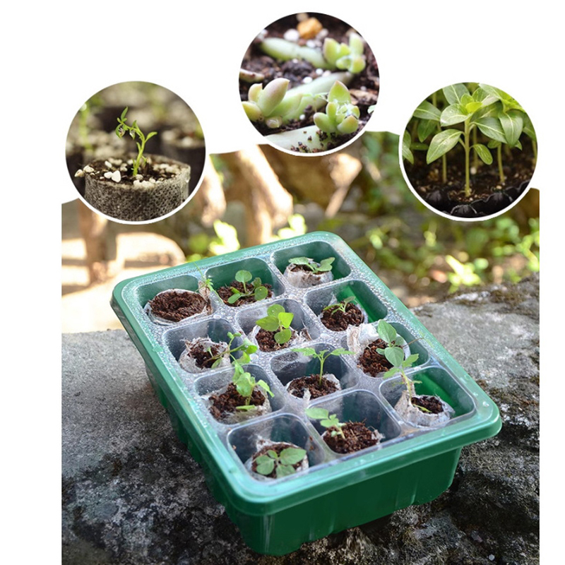Hot Sale 6/12 Holes Seed Start - đánh giá và giá Propagation Tray Dome