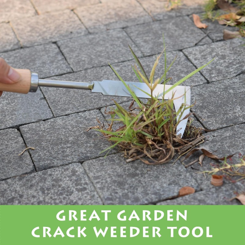 Stainless Steel Gap Weeding To - đánh giá và giá Gardening Tools On Sale
