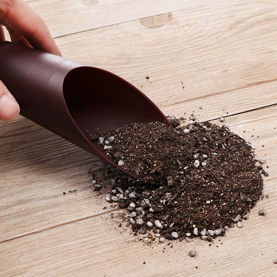 1PC Plastic Soil Shovel Cup Fo - đánh giá và giá Gardening Tools Shovel